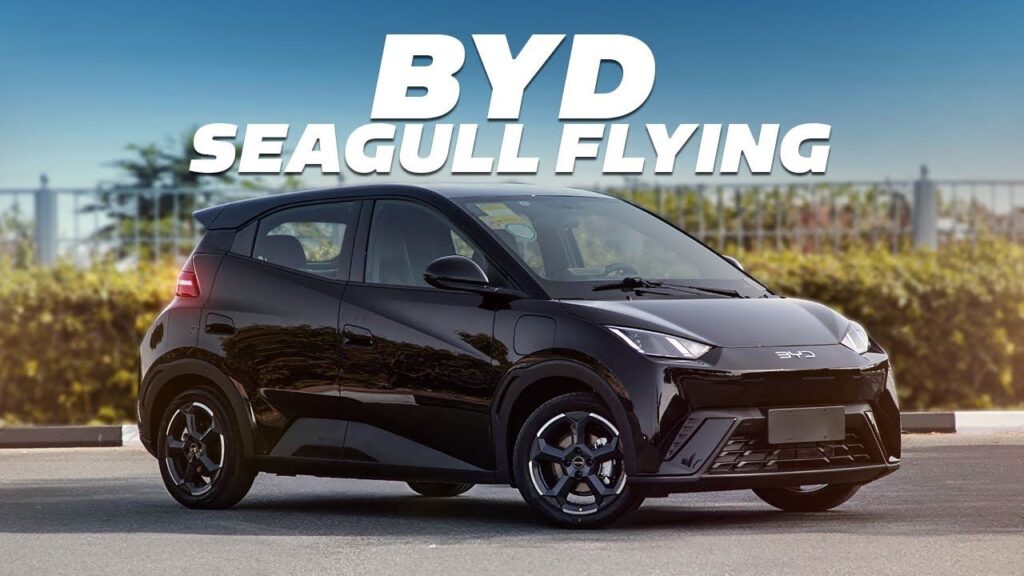 BYD Seagull