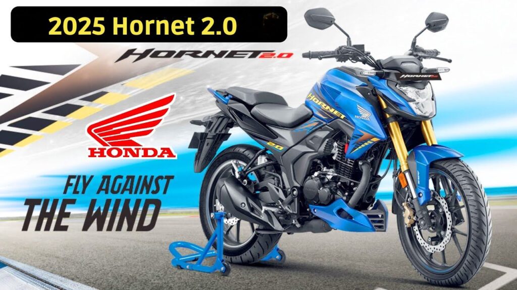 Honda Hornet