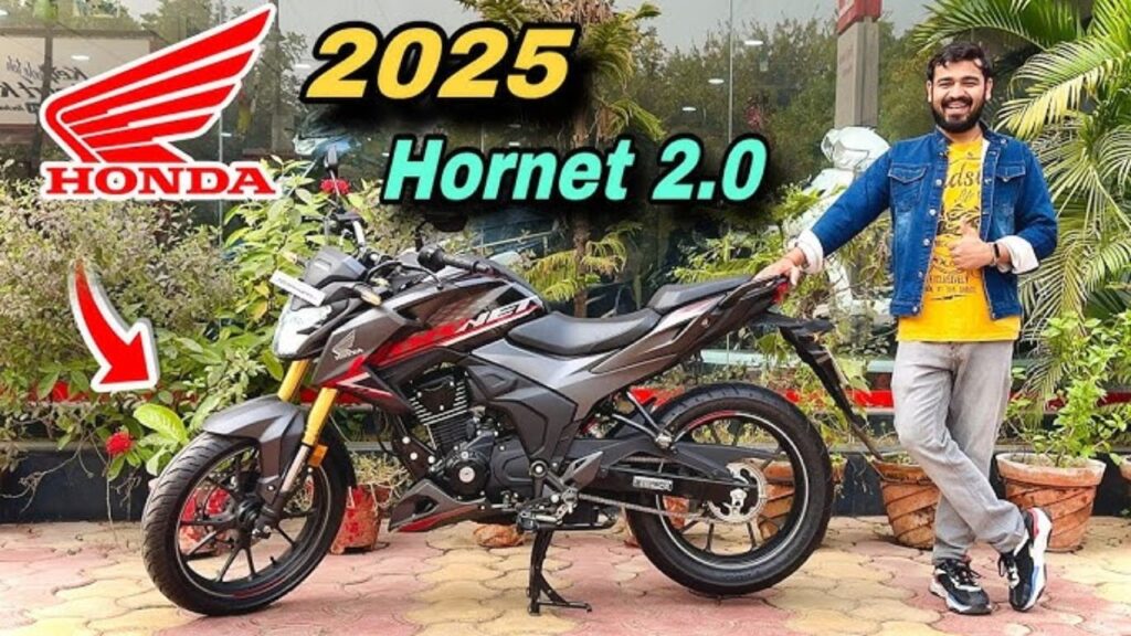 Honda Hornet