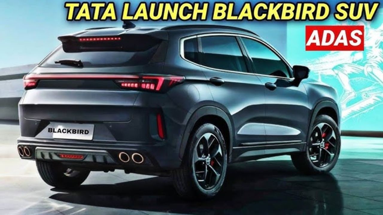 Tata Blackbird