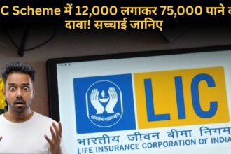 LIC Scheme